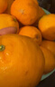 京觅四川春见耙耙柑粑粑柑净重5斤单果220g+水果彩箱源头直发包邮 实拍图