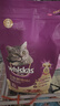 伟嘉猫粮成猫 金装升级营养加油站2kg海洋鱼 名目靓毛夹心粮蓝猫英短 实拍图
