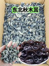 十月稻田 东北秋木耳 500g 黑木耳 小碗耳 干木耳 肉厚无根 火锅煲汤食材 实拍图