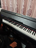 海蒂诗 电钢琴88键重锤电子钢琴儿童初学幼师专业成人家用数码立式钢琴 P-310木纹黑-蓝牙-全重锤-配琴凳 实拍图