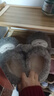 名创优品（MINISO）羊咩咩棉拖鞋女秋冬包跟家居室内厚底月子毛毛拖鞋深灰包跟38-39 晒单实拍图