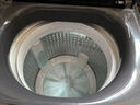 海尔（Haier）直驱变频10/12公斤波轮洗衣机全自动七维减震HP电离除菌螨桶自洁抗菌线屑过滤器预约 清新换风+纳米微泡超净洗1.25洗净比 波轮 12kg 实拍图