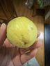 鲜青录广西黄金百香果钦蜜9号新鲜水果黄色白香果西番莲鸡蛋果 净重5斤（单果40-60g） 实拍图