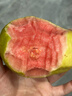 京觅福建红心芭乐 番石榴 应季 低糖孕妇水果 单果150g 净重3斤装 实拍图