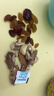 三只松鼠每日坚果750g 坚果礼盒零食礼包核桃腰果葡萄干 团购送礼新年礼赠 实拍图