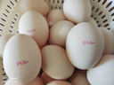 九華粮品 A+级有机富硒土鸡蛋20枚净重1.68斤 散养草鸡蛋鲜鸡蛋  礼盒 实拍图