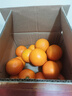 京鲜生 冰糖橙/橙子 5斤装 单果130g-170g 生鲜水果年货礼盒 实拍图