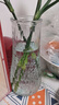 特大号玻璃花瓶桌面插花水养鲜花富贵竹高花瓶ins风客厅装饰摆件 【17高透明】小号锥桶水波纹 实拍图