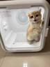 SMARTTAIL宠物智能烘干箱宠物烘干机猫咪自动吹干箱狗狗洗澡吹风机家用 实拍图