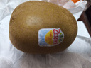 佳沛（zespri）新西兰新果季 阳光金果25-27粒原箱特大果单果124-146g 猕猴桃 实拍图