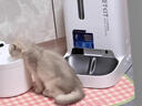 小佩AI宠物智能自动双子星喂食器可视版2代 多猫识别(支持鸿蒙智联) 实拍图