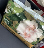 babycare金山茶花拉拉裤XXL30片(>15kg)婴儿尿不湿超薄透气新生柔花苞裤 实拍图