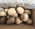 京鲜生山东新鲜小土豆净重9斤单果100g以上 新鲜蔬菜 现挖土豆源头直发 实拍图