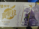 蒙牛真果粒蓝莓味牛奶饮品250g*12盒 小黄鸭IP 礼盒新老包装 含乳饮料 实拍图