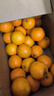 果果牛湖南麻阳冰糖橙 应当季新鲜水果手剥甜橙子高山夏脐血多汁 可选 净重9斤(单果60mm以下)实惠 实拍图