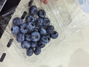 怡颗莓Driscoll's云南蓝莓Jumbo大果18mm+ 12盒装约125g/盒新鲜水果礼盒 实拍图