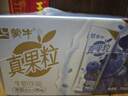蒙牛真果粒蓝莓味牛奶饮品250g*12盒 小黄鸭IP 礼盒新老包装 含乳饮料 实拍图