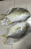 翔泰海南深海金鲳鱼700g 2条 火锅 年货节生鲜鱼类 BAP认证 海鲜水产  实拍图