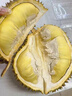 晨臻泰国进口金枕头榴莲鲜果新鲜水果 软糯香甜 金枕榴莲净重2.5-3斤 实拍图