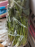 大菠菜300g 实拍图