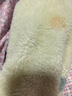 果壳（Gukoo）睡衣女冬季新款多款可爱女家居服保暖连帽卡通睡袍 奶黄 S 实拍图