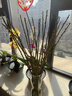 花翁水培鲜枝鲜花干枝花卉植物盆栽 红梅鲜枝【70-80cm20枝】源头直发 实拍图