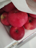 陇原红【顺丰到家】静宁苹果甘肃红富士苹果新鲜孕妇水果源头直发包邮 手工精选|6斤75-80mm净重5斤中果 实拍图