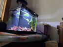 森森金麟超白玻璃鱼缸一体缸自循小型懒人家用水族箱LE-380 实拍图
