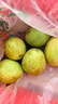 京觅福建奶油芭乐 单果150g起  净重3斤装番石榴 水果  源头直发包邮 实拍图
