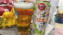 麒麟（Kirin）一番榨 冬季新鲜酒花啤酒 500ml*24罐 日本原装进口 实拍图