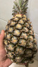 京鲜生 海南金钻凤梨  2个装 单果2斤起  生鲜水果 实拍图