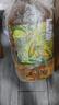 金龙鱼 食用油 非转基因 物理压榨玉米油6.18L（蕴含植物甾醇） 实拍图