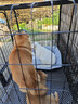 腆宠狗笼 狗笼子大型犬中型犬小型犬带厕所加粗狗窝家用宠物笼子围栏 实拍图
