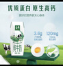 伊利【18天新鲜直达】金典纯牛奶250ml*16盒3.6g乳蛋白 年货礼盒装  实拍图