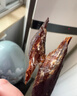 奇圣 风干牛肉干原味100g 西藏特产 休闲零食 肉干肉脯超干牛肉干 实拍图