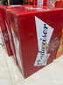 百威啤酒红罐淡色拉格330ml*24听整箱装浓郁麦香京东自营喜酒新年送礼 实拍图