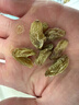 新边界【新疆吐鲁番特产】大颗粒绿香妃葡萄干400g高端无添加免洗提子干 实拍图
