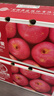 京鲜生 烟台红富士苹果 净重10斤  单果160g以上 水果礼盒 实拍图