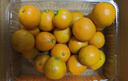京鲜生 广西第三代脆蜜金柑 2斤礼盒（每斤20-27粒）源头直发包邮 实拍图
