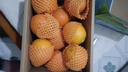 京鲜生 奉节脐橙  净重9斤 单果约230g起 生鲜水果橙子年货礼盒  实拍图