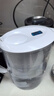 碧然德（BRITA）过滤净水器 家用滤水壶 净水壶 Marella 海洋系列白+专家版滤芯12枚（含附件） 实拍图
