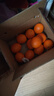 土八鲜江西橙子赣南脐橙新鲜水果赣州脐橙手剥甜橙礼盒 奋进橙9-10斤【单果200g+】 实拍图
