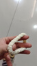 儿童高弹力加粗发圈加厚不伤发皮筋发夹高马尾无接缝头绳简约丸子 加粗加弹玉米花混装色10个 实拍图