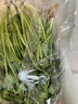 带根香菜100g 实拍图