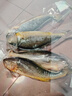 黄小渔宁德三去黄花鱼600g/4条大黄鱼生鲜海鲜水产深海鱼类烧烤年货送礼 实拍图