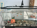 阔庭（KUOTING）鱼缸懒人鱼缸家用客厅办公室金鱼缸过滤鱼缸黑色款【大号】 实拍图