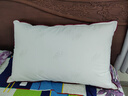 水星家纺枕头枕芯酒店枕头护颈枕头芯家用一对纯棉抗菌可水洗低枕48x74cm 实拍图