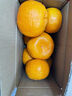 酸甜云南新鲜青橘孕妇青皮当季无籽橘子桔子薄皮水果多汁一整箱 250g 55-60mm 实拍图