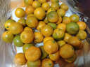 田良季广西金桔融安脆皮桔蜜新鲜滑皮水果生鲜小橘子送礼品礼物盒年货节 净重9斤装【蕞划算】 精品果丨28-32枚/斤左右丨很甜 实拍图