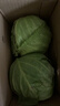 高原夏菜新鲜包菜卷心菜绿甘南菜甘蓝圆白菜时令蔬菜健康营养早餐 1.5斤-2斤高端标准菜 实拍图